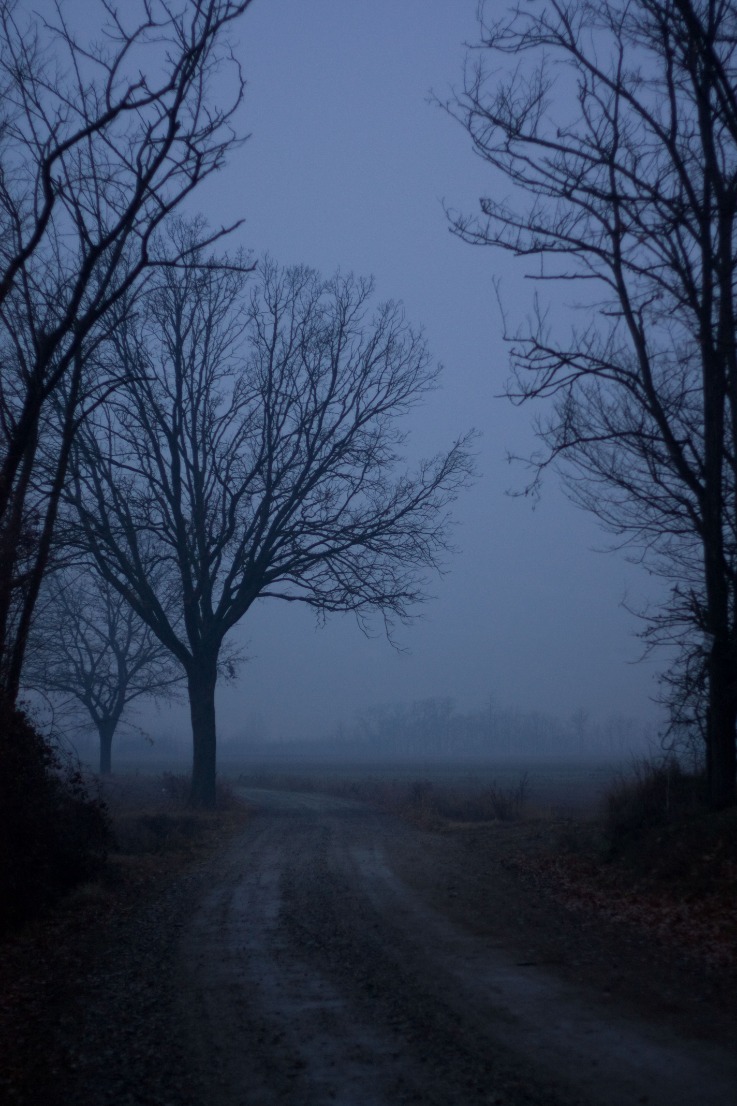 dark web markets 2025 reddit