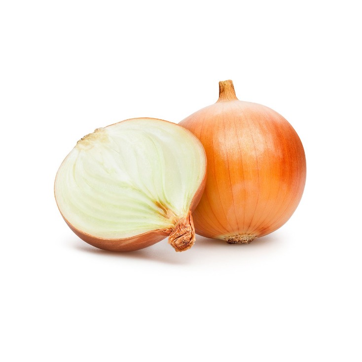 onion darknet market