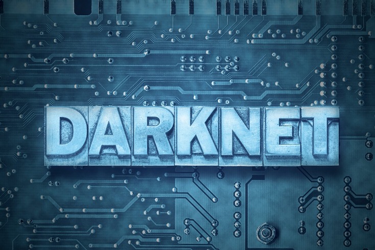 darknet market script