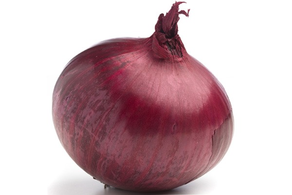 onion deep web wiki