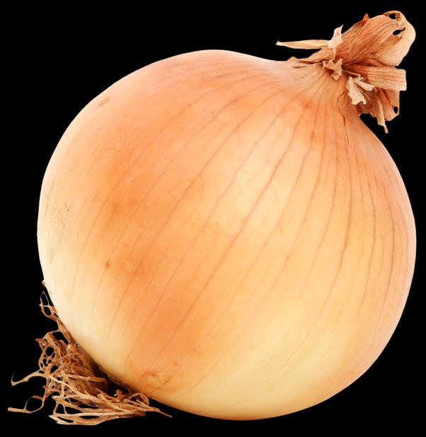onion deep web search