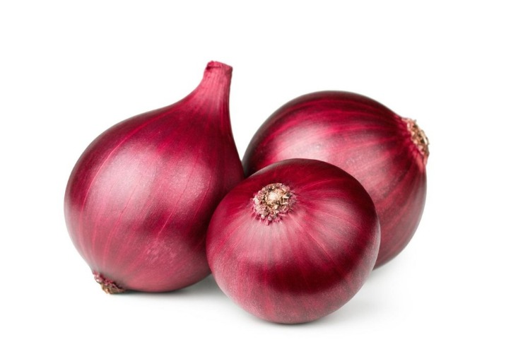 the onion directory