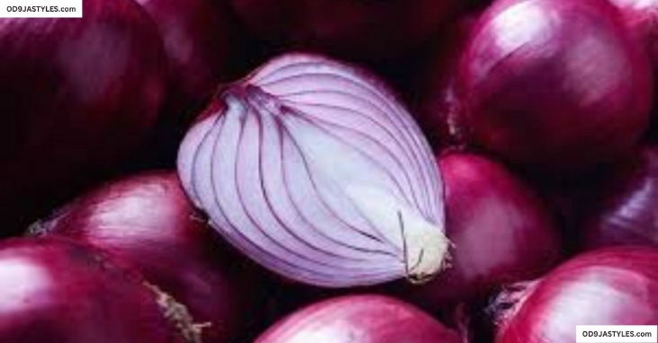 the onion directory