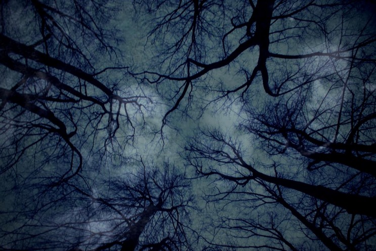 dark web links reddit