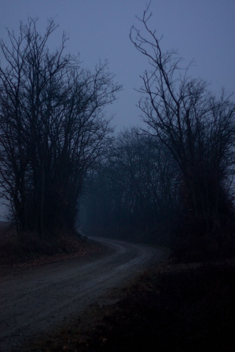 dark web market list