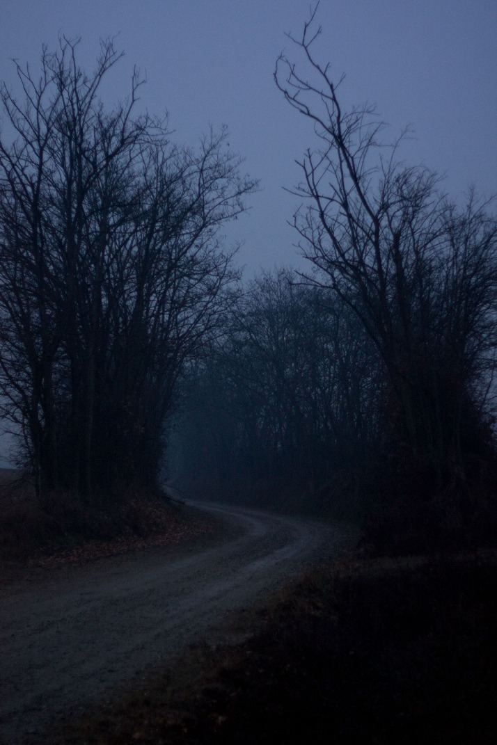 dark markets austria