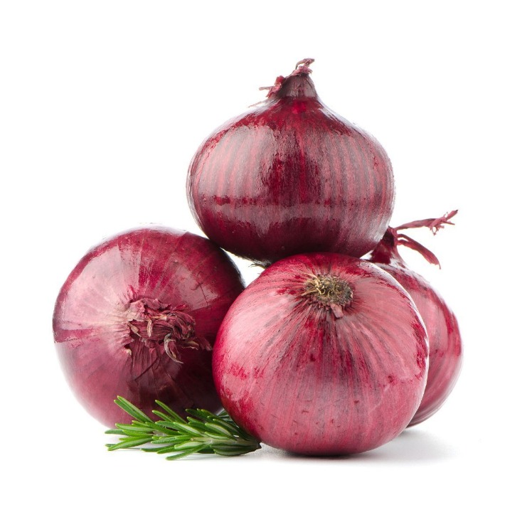 onion websites for credit cards