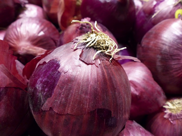 onion websites for credit cards