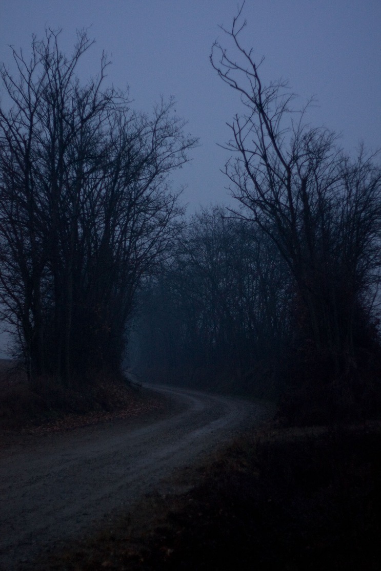 dark web login guide