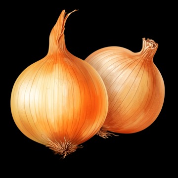 where to find onion links