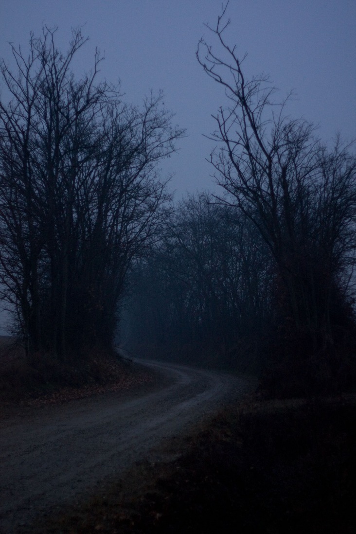 dark web engine search