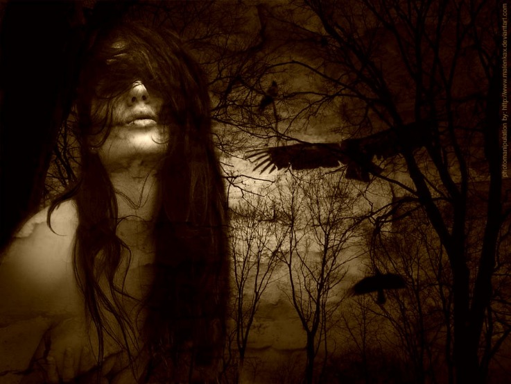 dark web markets reddit