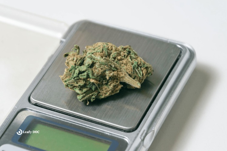 weed only darknet market