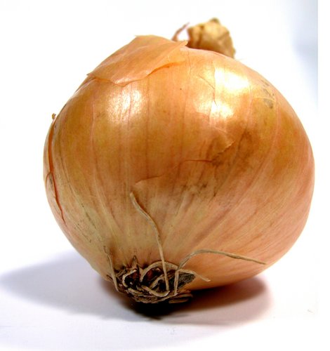 onion links credit card
