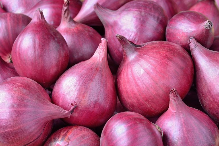 onion links credit card