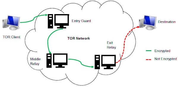 how to acess dark web
