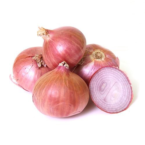 onion dark web list