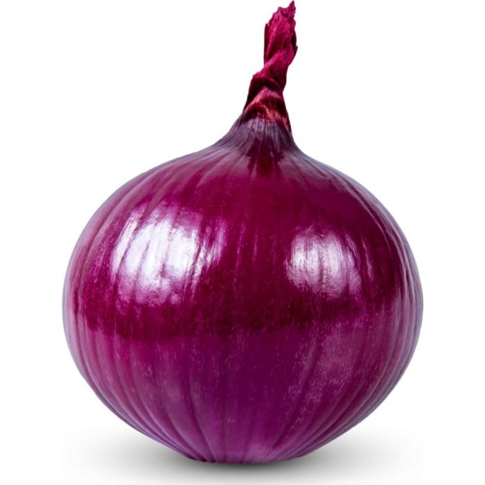 onion darknet market