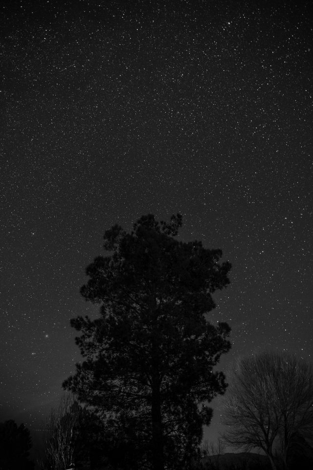 dark web drug market 2024